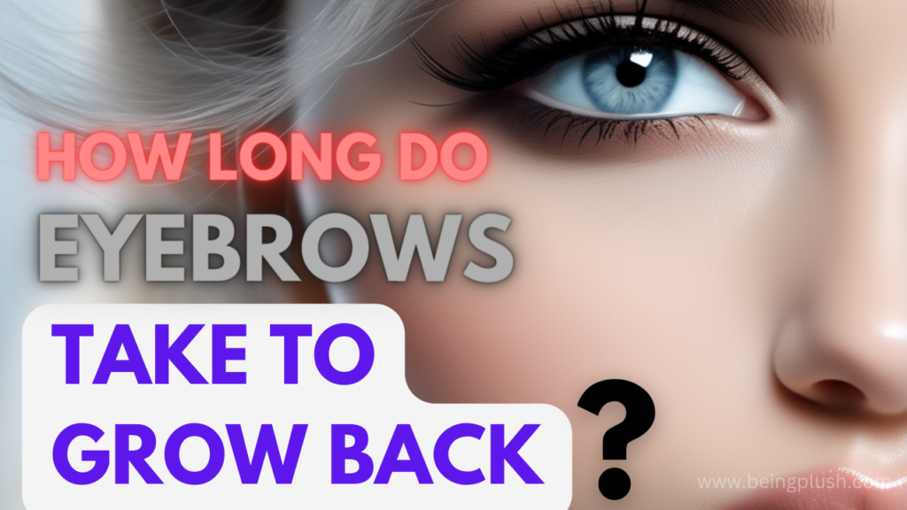 how long do eyebrows take to grow back